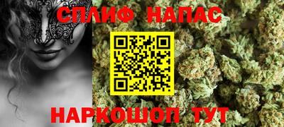 дмт Новокубанск