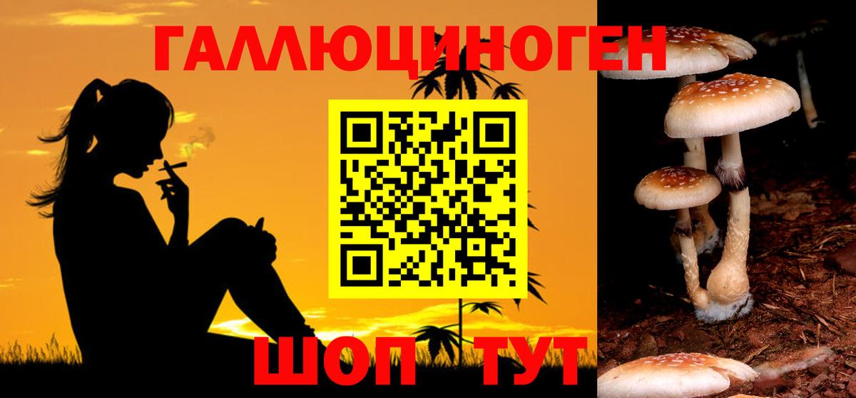 Орёл  Галлюциногенные грибы MAGIC MUSHROOMS  Галлюциногенные грибы Magic Shrooms  наркошоп  Вход с VPN 
