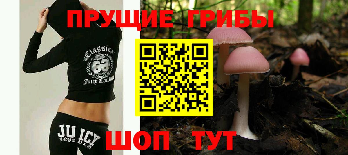 Галлюциногенные грибы Psilocybe Орёл